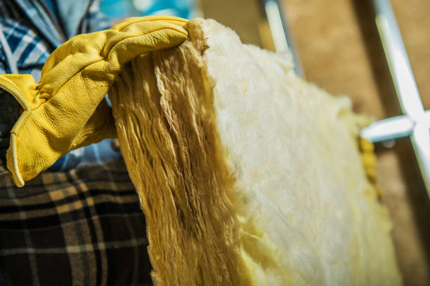 Best Eco-Friendly Insulation in Niagara, WI