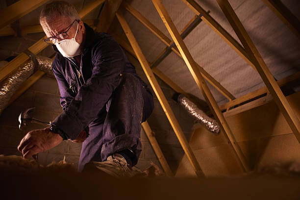 Best DIY Insulation Kits and Guidance in Niagara, WI